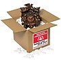 Tape Logic Labels, "Delicate Instruments - HWC", 4" x 4", Red/White/Black, 500/Roll~#|#~sp127289608_sc7