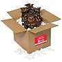 Tape Logic Fragile Labels, "Delicate Instruments - HWC", 2" x 3", Red/White, 500/Roll (DL1309)~#|#~sp127290420_sc7