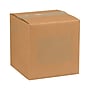 Tape Logic Block Out Labels, 8" x 10", Kraft, 250/Roll (DL1385K)~#|#~sp127290464_sc7