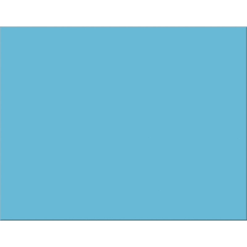 Pacon 4-Ply Poster Board, 22" x 28", Light Blue, 25 Sheets (PAC54841) image 1