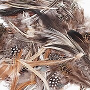 Creativity Street Natural Feathers, Natural Assorted Colors, Assorted Sizes, 1/2 oz. (PACAC4514-3)