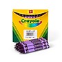 Crayola Bulk Crayons, Violet, 12/Box (52-0836-040)~#|#~sp128071834_sc7