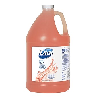 Dial Professional Body & Hair Shampoo, 4/Carton (03986)