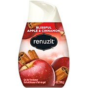 Renuzit® Adjustables Air Freshener, Apples And Cinnamon, 7 Oz Cone