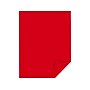 Astrobrights 30% Recycled Colored Paper, 24 lbs., 8.5" x 11", Re-Entry Red, 500 Sheets/Ream, 10 Reams/Carton (22551)~#|#~sp129217087_sc7
