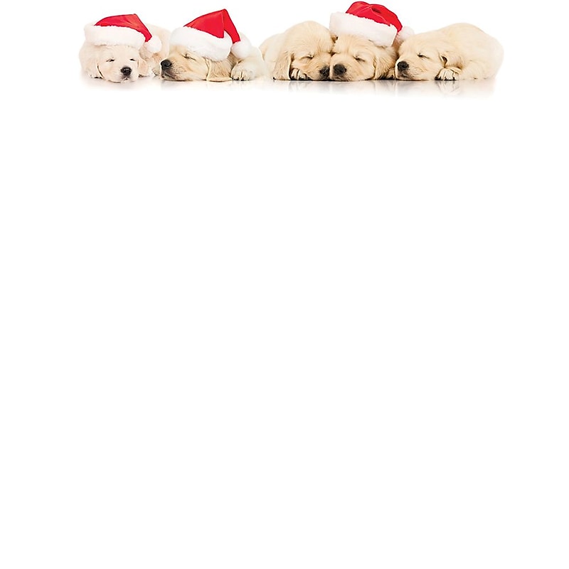 Great Papers!® Holiday Stationery, Santa Puppies, 8.5" x 11", 80 Sheets (2017018) image 1