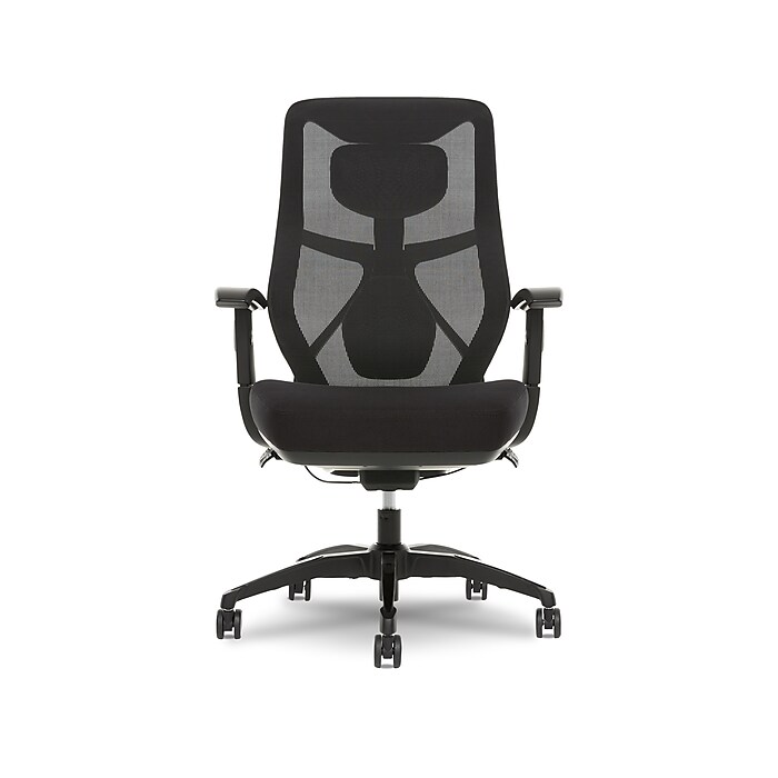 Beautyrest Duo EX Ergonomic Mesh Swivel Task Chair Black Gray 60051GRY