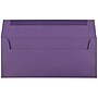 JAM Paper Open End #10 Business Envelope, 4 1/8" x 9 1/2", Dark Purple, 50/Pack (563912516I)~#|#~sp132864355_sc7