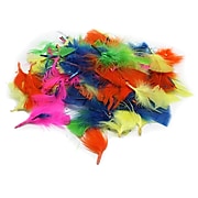 Charles Leonard Creative Arts™ Turkey Feathers, Hot Colors, 14 g Per Pack, 12 Packs (CHL63030-12)