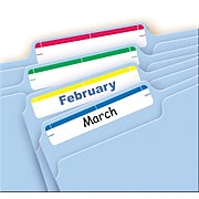 Avery Laser/Inkjet File Folder Labels, 2/3" x 3 7/16", Assorted Colors, 252 Labels Per Pack (5215)