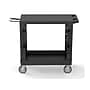 Luxor 2-Shelf Polyethylene Mobile Utility Cart with Swivel Wheels, Black (EC21-NDUST-B)~#|#~sp133417443_sc7