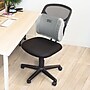 Mount-It! ErgoActive Lumbar Support Cushion with Straps, Breathable Mesh Cover, Gray (MI-1013)~#|#~sp133530612_sc7