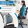 Mount-It! ErgoActive Lumbar Support Cushion with Straps, Breathable Mesh Cover, Gray (MI-1013)~#|#~sp133530613_sc7