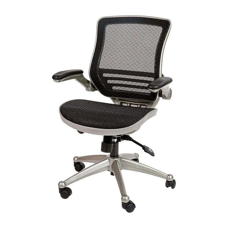 Flash Furniture Warfield Ergonomic Mesh Swivel Executive Chair, Black with Graphite Silver Frame (BL8801XBKGR) image 1