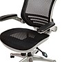 Flash Furniture Warfield Ergonomic Mesh Swivel Executive Chair, Black with Graphite Silver Frame (BL8801XBKGR)~#|#~sp133535054_sc7