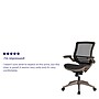 Flash Furniture Warfield Ergonomic Mesh Swivel Executive Chair, Black with Gold Frame (BL8801X)~#|#~sp133535086_sc7