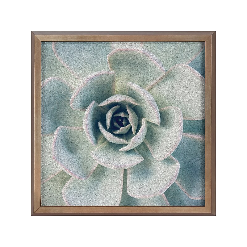 Kate & Laurel F2 Images Succulent 7 Cork Bulletin Board, Gold Frame, 1' x 1' (222048) image 1