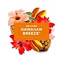 Glade PlugIns Scented Oil Warmer Refill, Hawaiian Breeze, 0.67 Fl. Oz., 5/Pack (315181EA)~#|#~sp133967709_sc7
