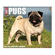 2021 Willow Creek Just Pugs 5.43" x 6.18" Day-to-Day Calendar (20616)
