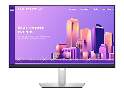 Dell 23.8" LED Monitor P2422H