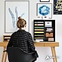 AdirOffice 500 Series 16-Compartment Literature Organizer, 20" x 11.8", Black (500-16-BLK)~#|#~sp134865245_sc7
