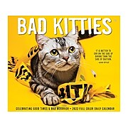2022 Willow Creek Bad Kitties 5.25" x 4.25" Daily Desk Calendar (20340)