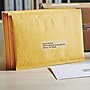 DYMO LabelWriter 30254 Mailing Address Labels, 3-1/2" x 1-1/8", Black on Clear, 130 Labels/Roll (30254)~#|#~sp135204449_sc7