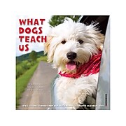 2022 Willow Creek What Dogs Teach Us 7" x 7" Monthly Wall Calendar (21040)
