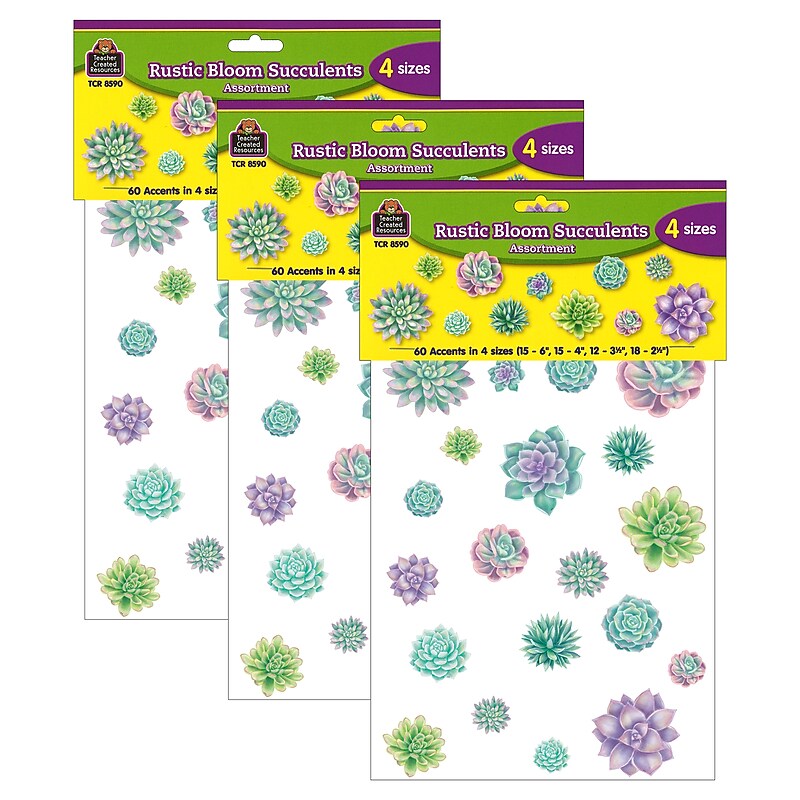 Teacher Created Resources Rustic Bloom Succulents Accents, Assorted Sizes, 60 Per Pack, 3 Packs (TCR8590-3) image 1
