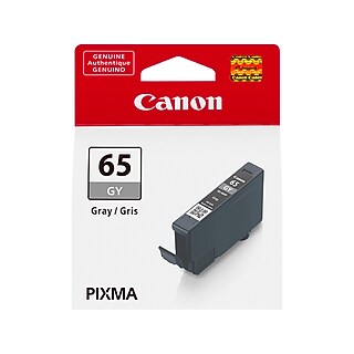 Canon 65 PM Photo Magenta Standard Yield Ink Cartridge (4221C002