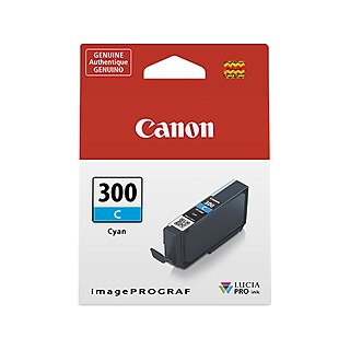 Canon 300 MBK Matte Black Standard Yield Ink Cartridge (4192C002