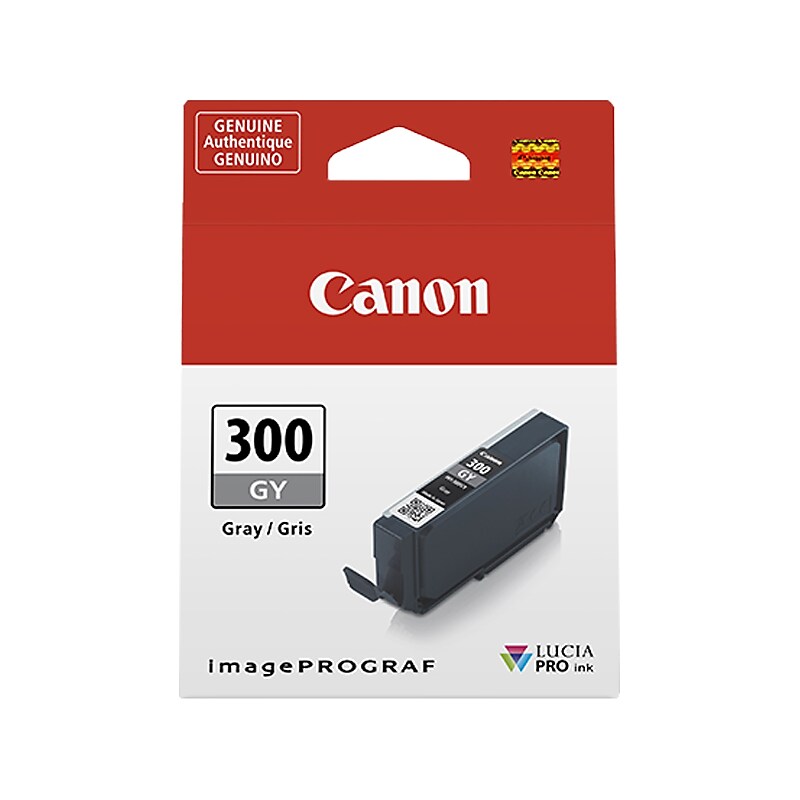 Canon 300 GY Gray Standard Yield Ink Cartridge (4200C002) image 1