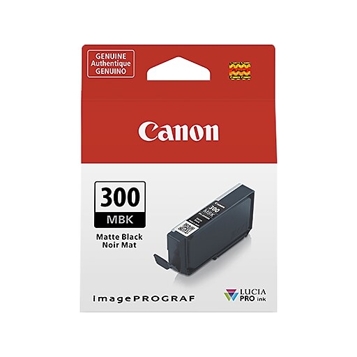 Canon 300 MBK Matte Black Standard Yield Ink Cartridge