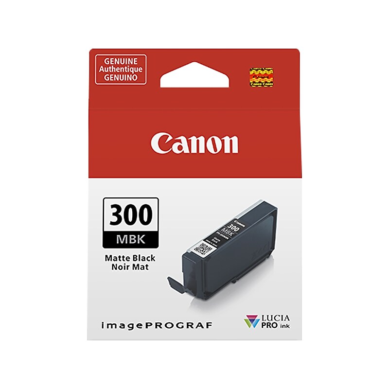 Canon 300 MBK Matte Black Standard Yield Ink Cartridge (4192C002) image 1