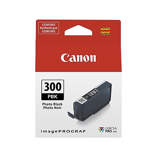 Canon 300 PBK Photo Black Standard Yield Ink Cartridge (4193C002)