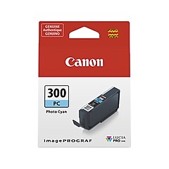 Canon 300 PBK Photo Black Standard Yield Ink Cartridge (4193C002