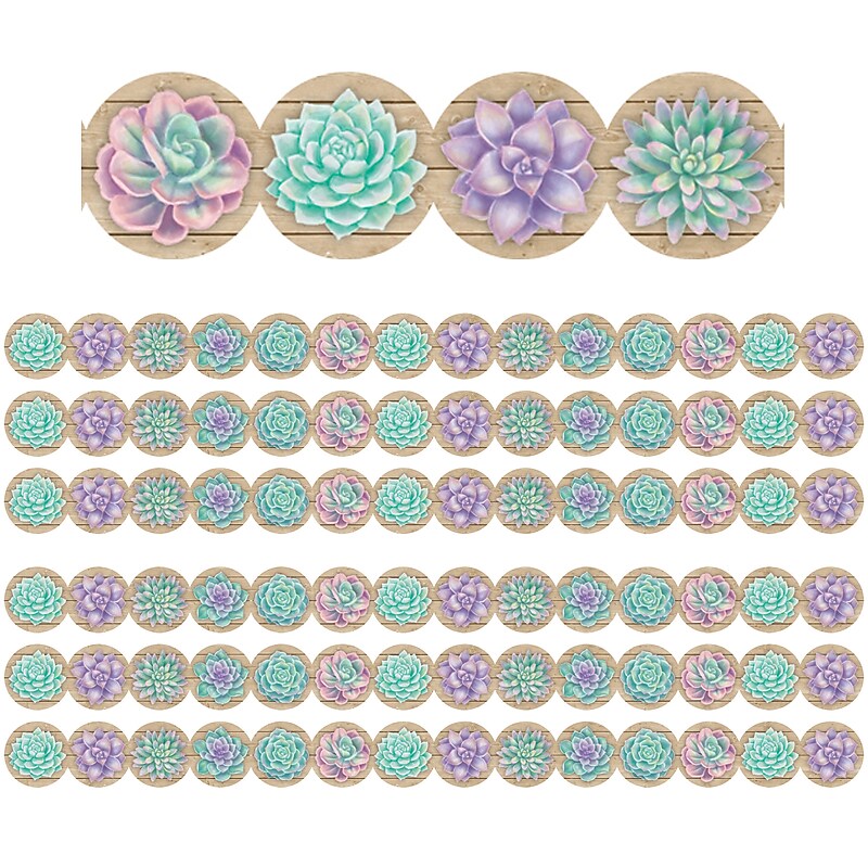 Teacher Created Resources Rustic Bloom Die-Cut Border, 2.75" x 210', Succulents (TCR8591-6) image 1