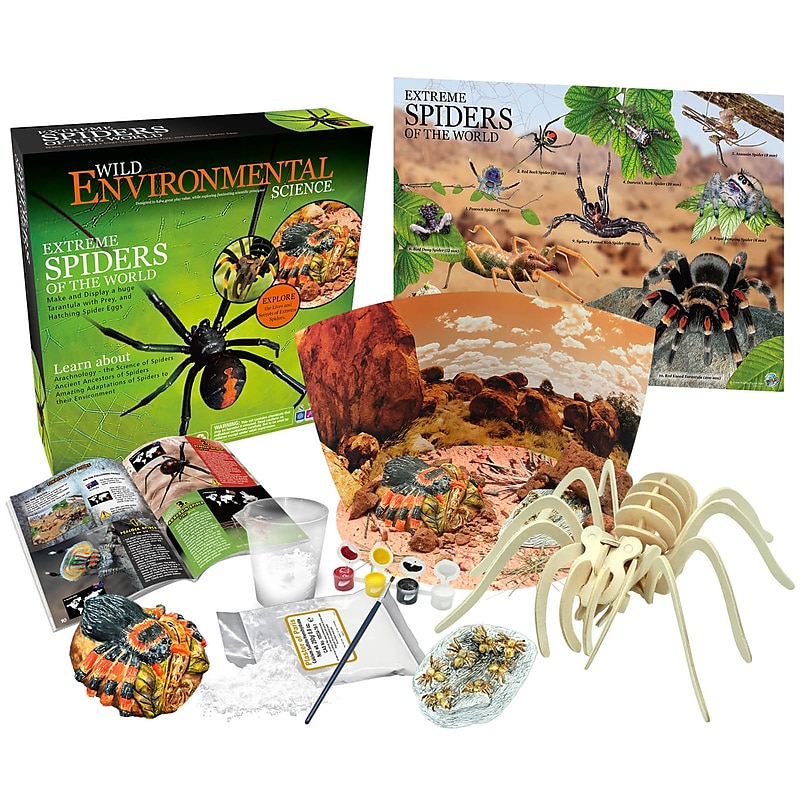 Learning Advantage WILD ENVIRONMENTAL SCIENCE Extreme Spiders of the World (CTUWES945) image 1