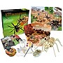 Learning Advantage WILD ENVIRONMENTAL SCIENCE Extreme Spiders of the World (CTUWES945)~#|#~sp136095716_sc7