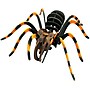 Learning Advantage WILD ENVIRONMENTAL SCIENCE Extreme Spiders of the World (CTUWES945)~#|#~sp136095721_sc7