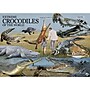 Learning Advantage WILD ENVIRONMENTAL SCIENCE Extreme Crocodiles of the World (CTUWES946)~#|#~sp136095726_sc7
