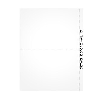 TOPS 2022 1099 Tax Form, 1-Part, 2-Up, 100/Pack (LBLANKQ)