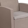 Flash Furniture Seneca Faux Rattan Chair with All-Weather Cushion, Light Gray (DADSF21)~#|#~sp137089973_sc7