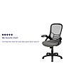 Flash Furniture Porter Ergonomic Mesh Swivel Executive Chair, Light Gray/Black (HL00161BKGY)~#|#~sp137090850_sc7