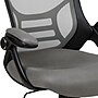 Flash Furniture Porter Ergonomic Mesh Swivel Executive Chair, Light Gray/Black (HL00161BKGY)~#|#~sp137090858_sc7