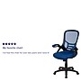 Flash Furniture Porter Ergonomic Mesh Swivel Executive Chair, Blue/Black (HL00161BKBL)~#|#~sp137092080_sc7