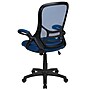 Flash Furniture Porter Ergonomic Mesh Swivel Executive Chair, Blue/Black (HL00161BKBL)~#|#~sp137092088_sc7