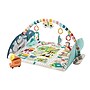 Fisher-Price Activity City Gym to Jumbo Play Mat (GRV42)~#|#~sp137193848_sc7