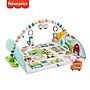 Fisher-Price Activity City Gym to Jumbo Play Mat (GRV42)~#|#~sp137193849_sc7