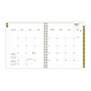 2022 Blue Sky Day Designer Simply Striped Apricot 8" x 10" Monthly Planner, Apricot/Cream (133651)
